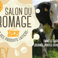 Affiche Salon du Fromage et des Produits Laitiers