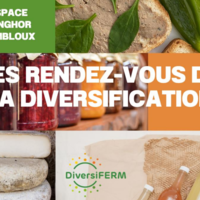 Affiche Rendez-vous de la Diversification 2024