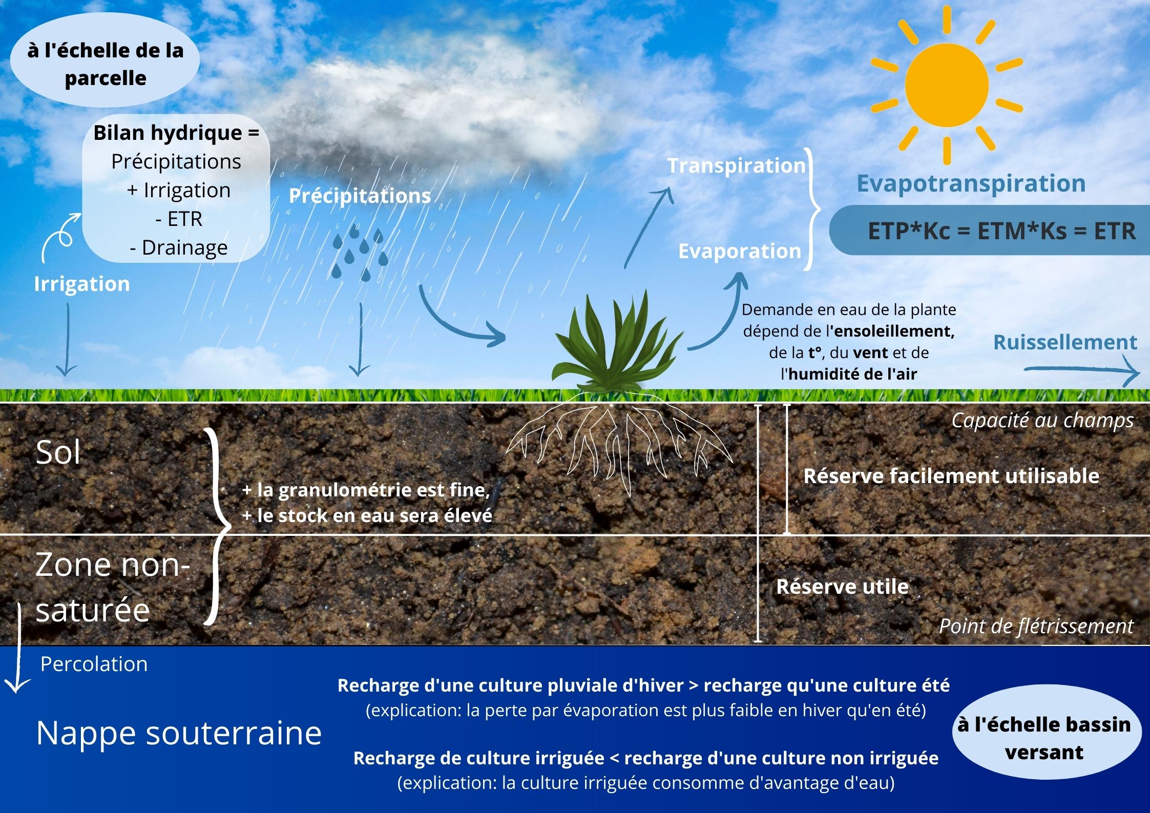 notion irrigation.jpg (Nappe - 2)