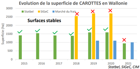 superficie carottes.png