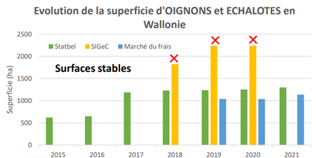 superficie echalotte oignons.png