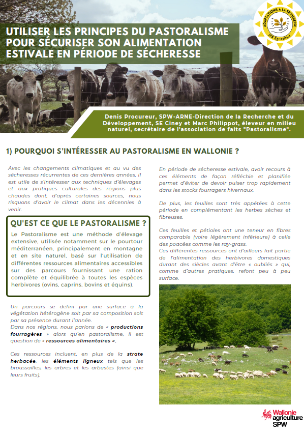 Photo article pastoralisme.png