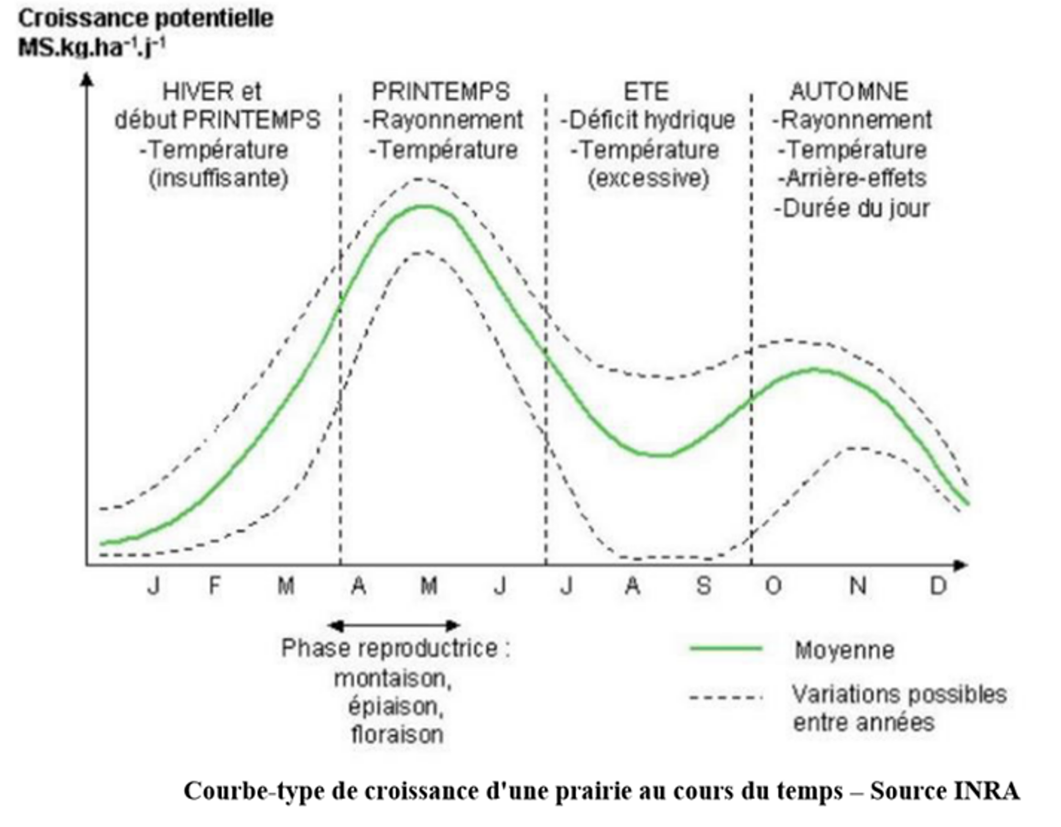 graphe pousse théorique de l'herbe.png