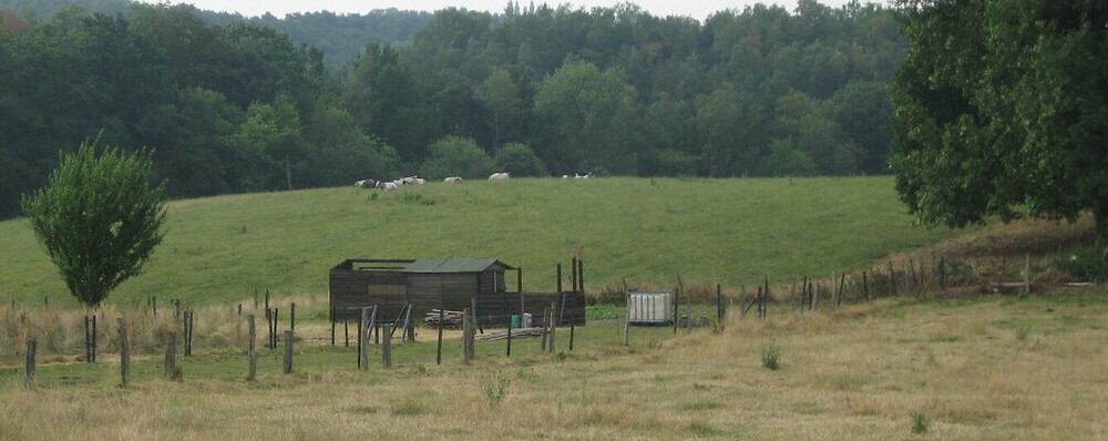 Gérer la prairie