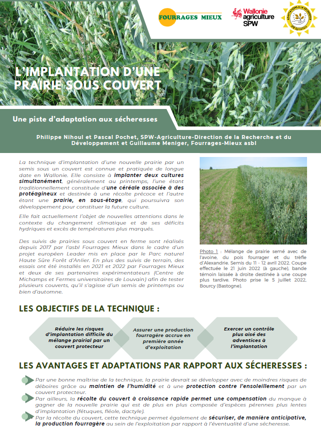 photo article implantation prairie sous couvert.PNG