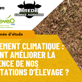 Changement climatique-comment améliorer la résilience de nos exploitations d'élevage.png